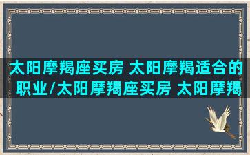 太阳摩羯座买房 太阳摩羯适合的职业/太阳摩羯座买房 太阳摩羯适合的职业-我的网站